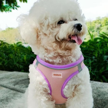 Soft Mesh Dog Harness and Leash Set, No-Chock Step-in Reflective Breathable Lightweight Easy Walk Escape Proof Vest Harnesses with Safety Buckle for Small Medium Dogs, Cats (Purple, Small)