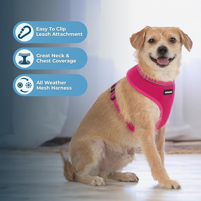 Voyager Aerolite No Pull Mesh Dog Harness with Lightweight, Soft, Breathable, Reflective Stitching, and Adjustable Straps for Walking, Running, Training, Heavy Duty and Durable - Fuchsia, S