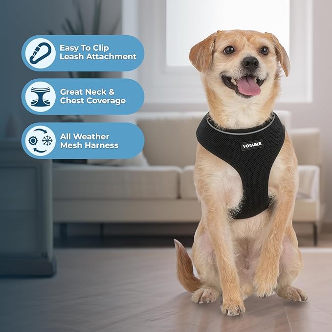 Voyager Aerolite No Pull Mesh Dog Harness with Lightweight, Soft, Breathable, Reflective Stitching, and Adjustable Straps for Walking, Running, Training, Heavy Duty and Durable - Black, XS