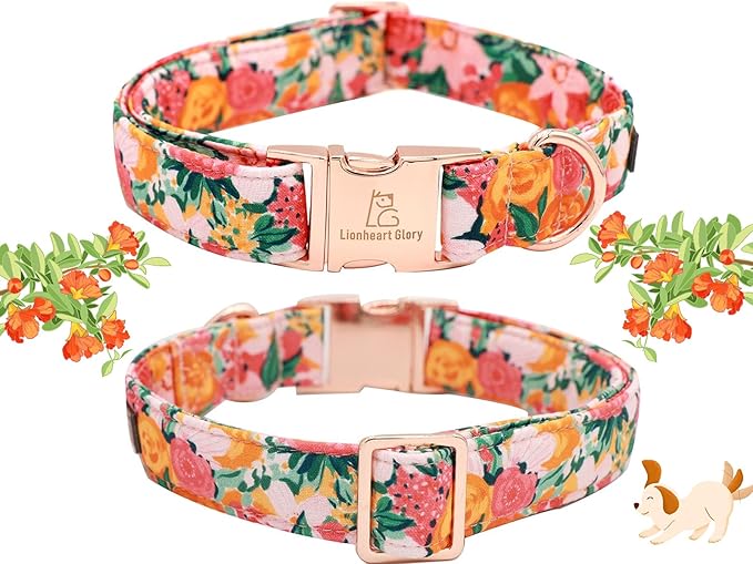 Lionheart glory Premium Floral Dog Collars Spring Dog Collar, Adjustable Heavy Duty Girl Dog Collar for Small Dogs
