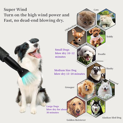 Dog Dryer, Pet Grooming Multi-Function Hair Dryer with Adjustable Speed and Temperature Controller (Blue/update)
