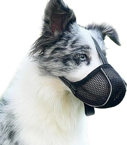 Large Dog Muzzle, Muzzle for Large Dogs to Prevent Eating/Chewing/Biting, Breathable Reflective Adjustable Medium Dog Accessories Dog Muzzle (Black, S)
