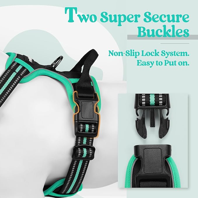rabbitgoo Dog Harness, No-Pull Pet Harness with 2 Leash Clips, Adjustable Soft Padded Dog Vest, Reflective No-Choke Pet Oxford Vest with Easy Control Handle for Large Dogs, Black & Turquoise, XL