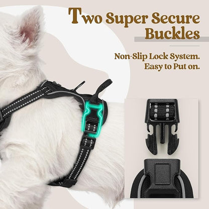 rabbitgoo Dog Harness, No-Pull Pet Harness with 2 Leash Clips, Adjustable Soft Padded Dog Vest, Reflective No-Choke Pet Oxford Vest with Easy Control Handle for Small Dogs, Black, X-Small