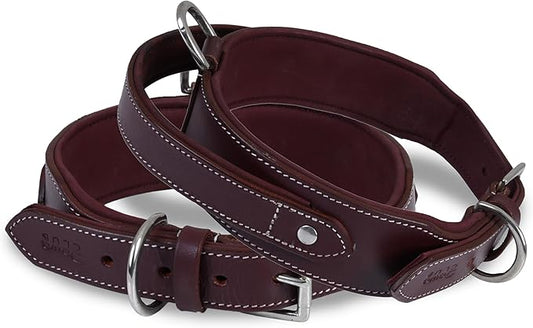 Leather Dog Collar with Handle, 2 Inch Wide Saddle Grade Cherry Leather Dog Collar for Medium Dogs | Heavy Duty, Comfortable, Inner Soft Padded | (M (Fit Neck Size 14.5"-18.5"), Cherry)