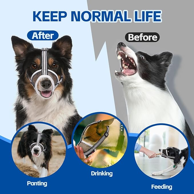 Dog Muzzle,Soft Mesh Breathable Muzzle, Air Mesh Dog Muzzle with Reflective & Adjustable Strap for for Biting Chewing Grooming,Allow Panting Drinking,Dog Muzzle for Medium (Black, M)