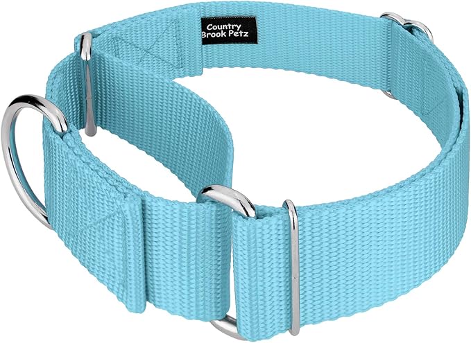 Country Brook Petz 1 1/2 Inch Martingale Heavy Duty Nylon Adjustable Dog Collar for Small, Medium, Large Breeds - Vibrant 17 Color Selection (Ocean Blue, Medium)