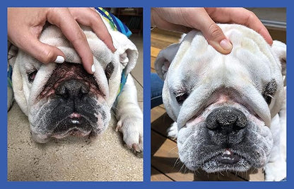 Squishface Wrinkle Wipes + Dog Ear Wipes Bundle - for Dogs with Wrinkles, Tear Stains, Tail Pockets, Irritated Paws & More - Great for All Breeds!