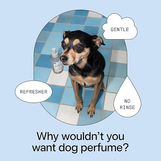DedCool Pet Fragrance (01 Taunt, 8.5 fl oz), Pet Deodorizer Perfume, Luxury Fragrance Long Lasting Indoor Odor Eliminator, Grooming Spray for All Cats, Dogs & Puppies, Clean, Non-Toxic