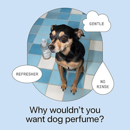 DedCool Pet Fragrance (01 Taunt, 8.5 fl oz), Pet Deodorizer Perfume, Luxury Fragrance Long Lasting Indoor Odor Eliminator, Grooming Spray for All Cats, Dogs & Puppies, Clean, Non-Toxic
