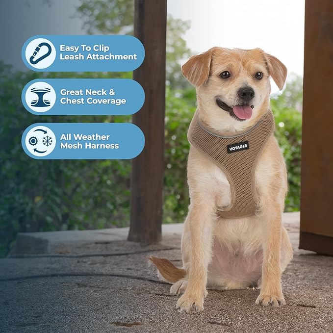 Voyager Aerolite No Pull Mesh Dog Harness with Lightweight, Soft, Breathable, Reflective Stitching, and Adjustable Straps for Walking, Running, Training, Heavy Duty and Durable - Beige, M