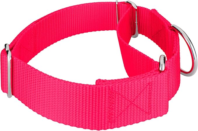 Country Brook Petz 1 1/2 Inch Martingale Heavy Duty Nylon Adjustable Dog Collar for Small, Medium, Large Breeds - Vibrant 17 Color Selection (Hot Pink, Extra Large)