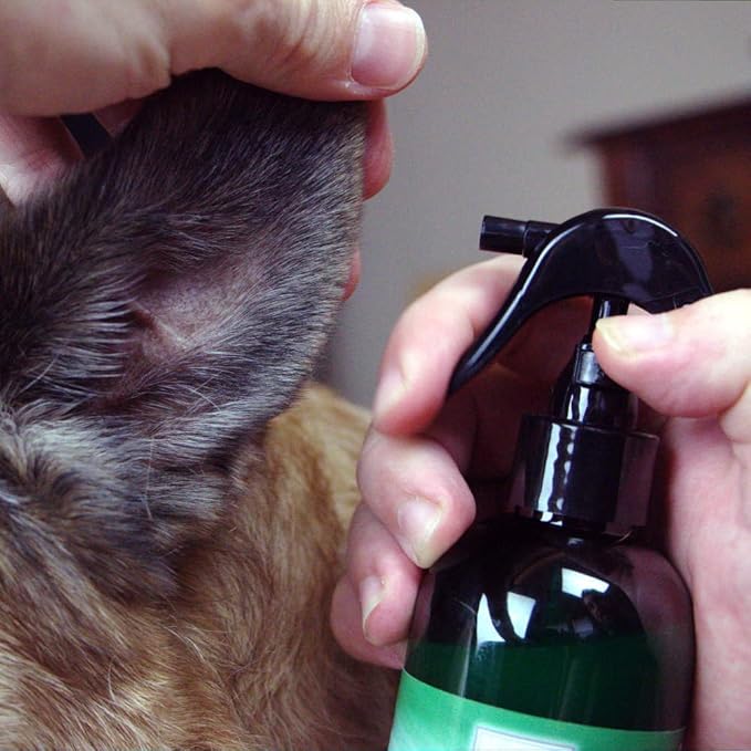 Silver Shield Dog & Bedding Spray | All Natural Colloidal Silver Dog Hygiene Spray