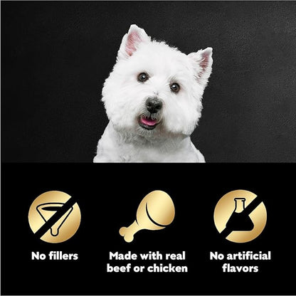 Cesar Wet Dog Food 40 Count Multipack