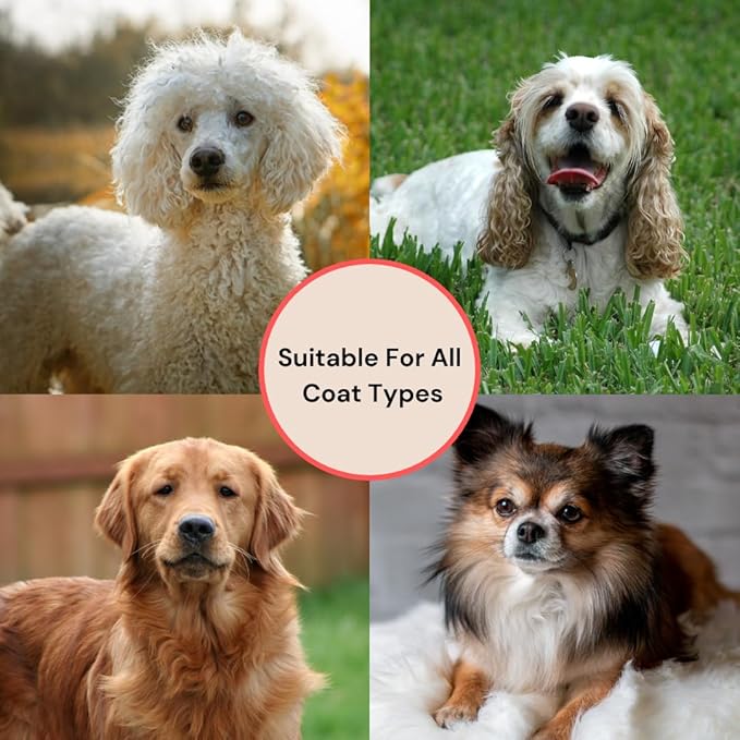 Professional Large Slicker Brush for Dogs (Goldendoodles, Labradoodles, Poodles, Golden Retrievers and more) Pet Grooming Brush with Long Stainless steel Pins for Dematting