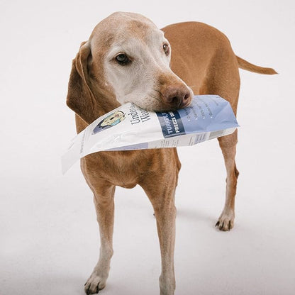 Under the Weather Bland Diet for Dogs | Easy to Digest for Sick Dogs |Always Be Ready| Contains Electrolytes - All Natural Freeze Dried 100% Human Grade Meats| 6 Pack- Rice Turkey & Sweet Potato - 6oz