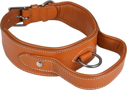 Leather Dog Collar with Handle, 2 Inch Wide Saddle Grade Brown Leather Dog Collar for Extra Large Dogs | Heavy Duty, Comfortable, Inner Soft Padded | (XL (Fit Neck Size 22"-26"), Light Brown)