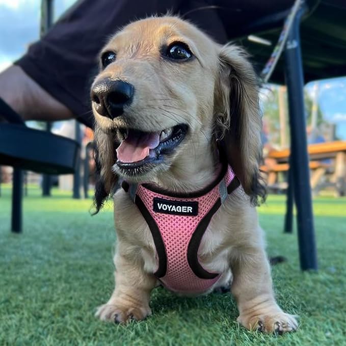 Voyager Step-in Air Dog Harness - All Weather Mesh, Reflective, No Pull Harness for Small, Medium Dogs, Cats - Secure with Hook & Loop Fastener, Buckle, Double D-Rings - Pink/Black Trim, XXXS