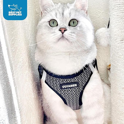 Voyager Step-in Air Dog Harness - All Weather Mesh, Reflective, No Pull Harness for Small, Medium Dogs, Cats - Secure with Hook & Loop Fastener, Buckle, Double D-Rings - Gray 2-Tone, L