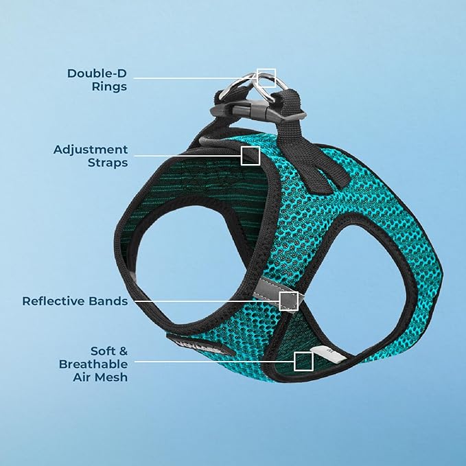 Voyager Step-in Air Dog Harness - All Weather Mesh, Reflective, No Pull Harness for Small, Medium Dogs, Cats - Secure with Hook & Loop Fastener, Buckle, Double D-Rings - Turquoise 2-Tone, S