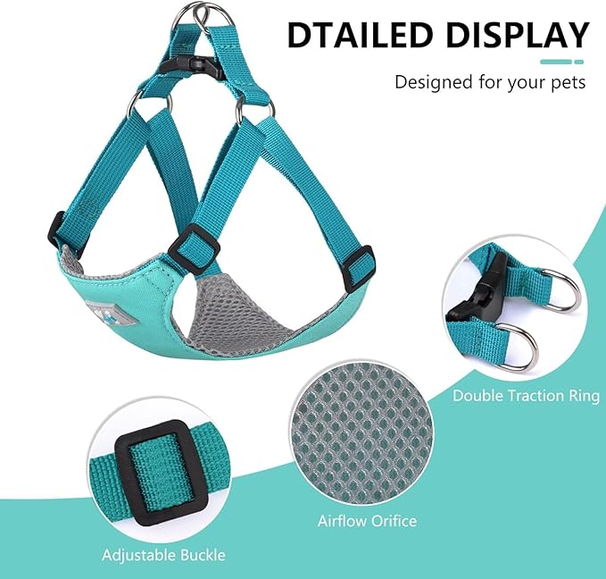 Beirui Small Dog Harness and Leash Set, No Pull Step-in Harness for Puppy, Lightweight Air Mesh Pet Harness for Small Dogs (Blue, XS)