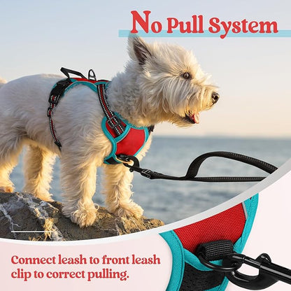 rabbitgoo Dog Harness, No-Pull Pet Harness with 2 Leash Clips, Adjustable Soft Padded Dog Vest, Reflective No-Choke Pet Oxford Vest with Easy Control Handle for Large Dogs, Red & Teal, X-Small