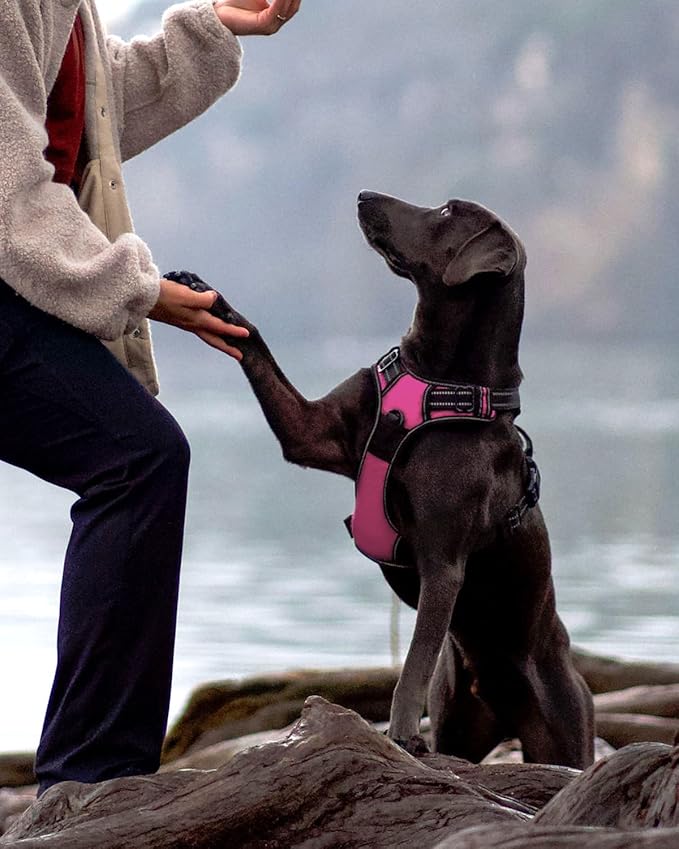 Joytale No Pull Dog Harness Medium Sized Dog, Reflective Pet Vest with Front Clip, Adjustable Soft Padded Harnesses with Easy Control Handle for Training and Walking, Hot Pink, M