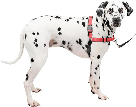 PetSafe Easy Walk Deluxe Dog Harness, No Pull Dog Harness – Perfect for Leash & Harness Training – Stops Pets from Pulling and Choking on Walks – Large, Rose