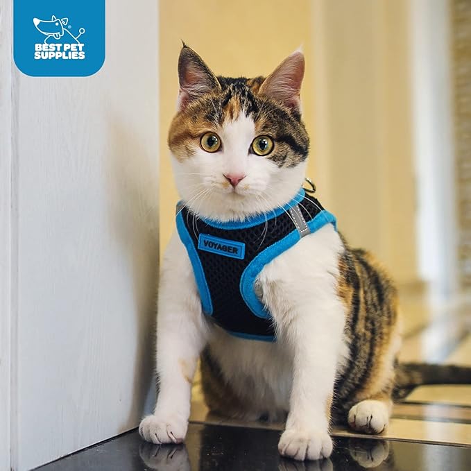 Voyager Step-in Air Dog Harness - All Weather Mesh, Reflective, No Pull Harness for Small, Medium Dogs, Cats - Secure with Hook & Loop Fastener, Buckle, Double D-Rings - Turquoise, XS