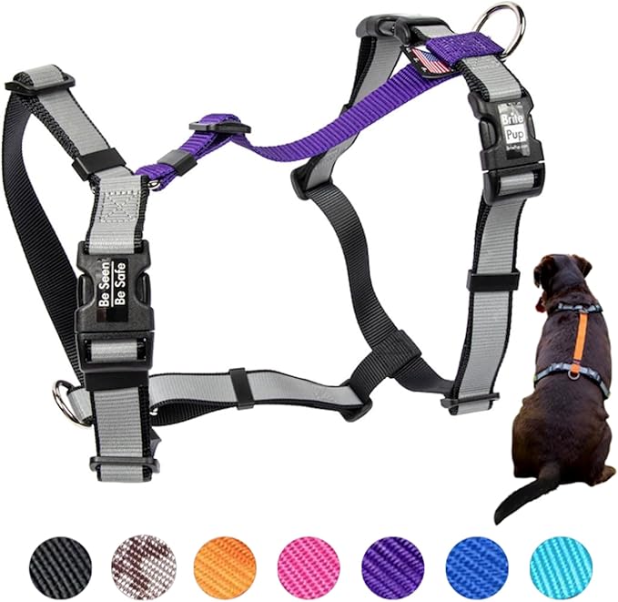 No Pull Dog Harness for Small Dogs - Fully Customizable Fitment - 3M Reflective Heavy Duty Harness for Walking & Training - No Choke Comfortable Collar Design, Made in USA S-Purple