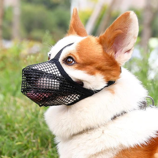 Crazy Felix Dog Muzzle, Soft Mesh Muzzle for Small Medium Large Dogs Labrador German Shepherd, Breathable Adjustable Muzzles for Biting, Chewing, and Scavenging, Allows Panting and Drinking(Black,XS)
