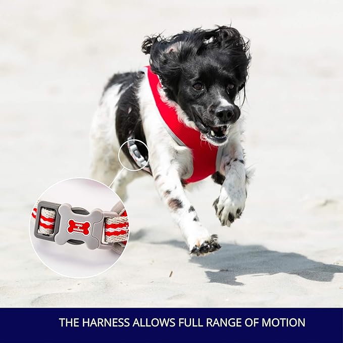 HUGO & HUDSON Dog Harness No-Pull Pet Harness Adjustable Quick Dry Mesh Padded Vest, Red, L
