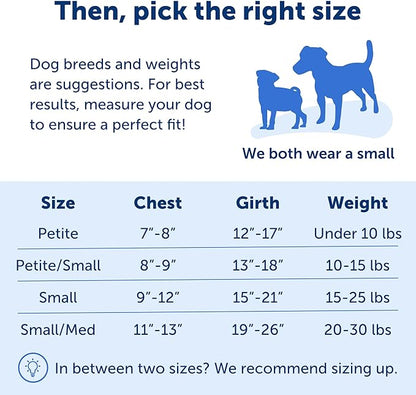 PetSafe Easy Walk No-Pull Dog Harness - The Ultimate Harness to Help Stop Pulling - Take Control & Teach Better Leash Manners - Helps Prevent Pets Pulling on Walks, Small/Medium, Charcoal/Black