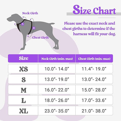 rabbitgoo Dog Harness, No-Pull Pet Harness with 2 Leash Clips, Adjustable Soft Padded Dog Vest, Reflective No-Choke Pet Oxford Vest with Easy Control Handle for Small Dogs, Purple, S