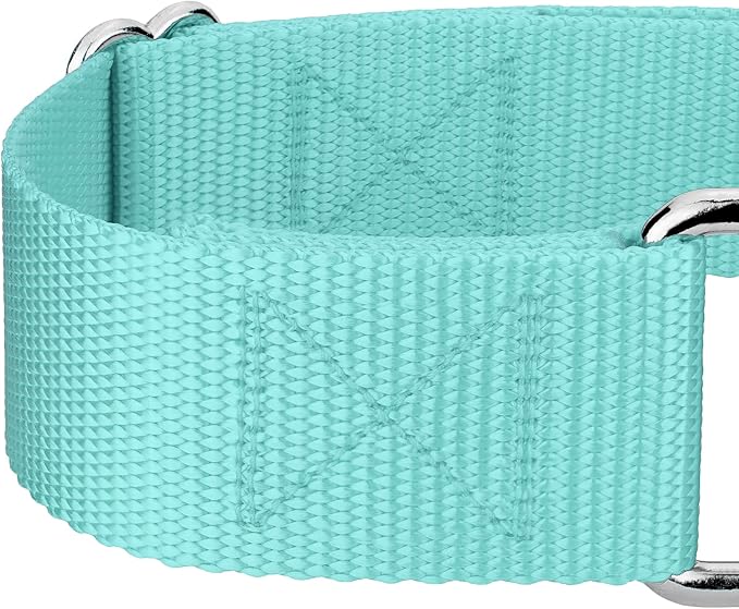 Country Brook Petz 1 1/2 Inch Martingale Heavy Duty Nylon Adjustable Dog Collar for Small, Medium, Large Breeds - Vibrant 17 Color Selection (Light Cyan, Extra Large)