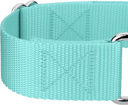 Country Brook Petz 1 1/2 Inch Martingale Heavy Duty Nylon Adjustable Dog Collar for Small, Medium, Large Breeds - Vibrant 17 Color Selection (Light Cyan, Extra Large)
