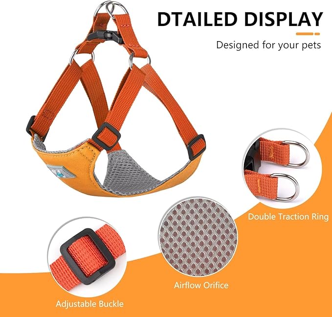 Beirui Small Dog Harness and Leash Set, No Pull Step-in Harness for Puppy, Lightweight Air Mesh Pet Harness for Medium Dogs (Yellow, M)