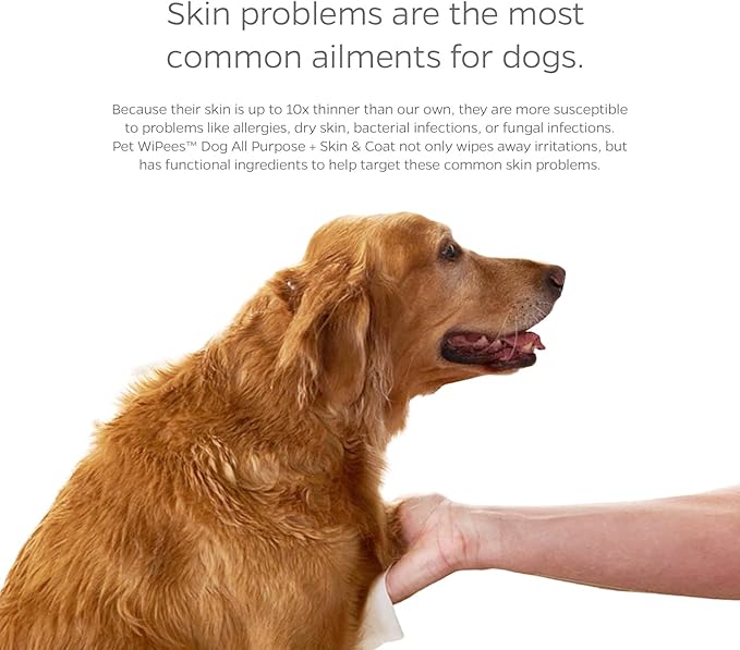 Pet Parents® Pet WiPees™ Dog All Purpose + Skin & Coat Pet Wipes, Pet Wipes for Dogs, Dog Wipes & Puppy Wipes, Paw Wipes for Dogs (100 Count (Pack of 4), Natural)