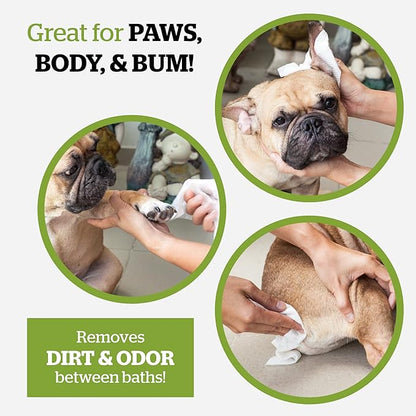 Pogi’s Dog Wipes Travel Packs – Hypoallergenic Pet Wipes for Paws, Body & Butt – Cleaning & Hydrating, Green Tea Scent, 240-Count