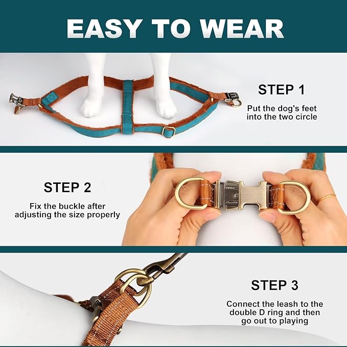 Beirui Soft Small Dog Harness and Leash Set-Adjustable Step in Dog Harness for Small Dogs-Easy Walk Dog Harness Small Sized Dog-Warm No Pull Dog Harness and Leash Used in Autumn Winter(Blue,S)