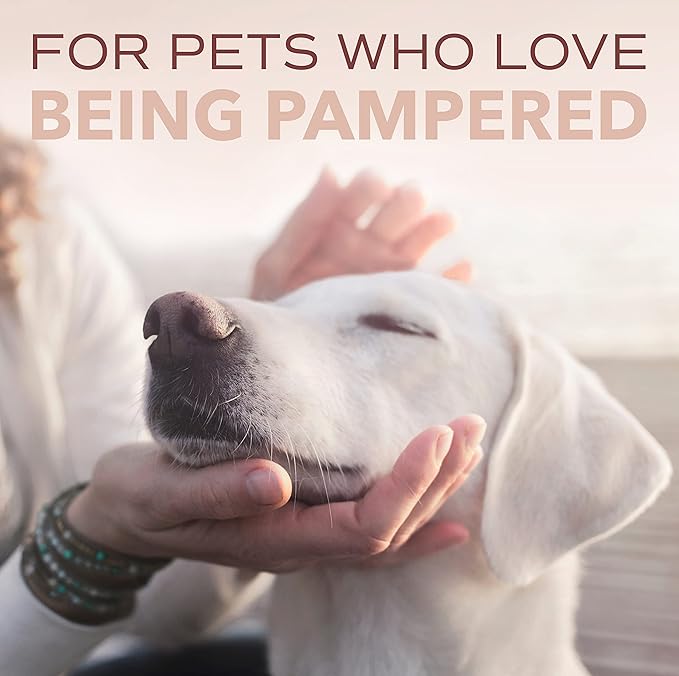 TropiClean SPA Lavish Dog Shampoo | Sporty Scented For Him Deodorizing Dog Shampoo | Naturally Derived Salon Grade Ingredients | Made in the USA | 16oz
