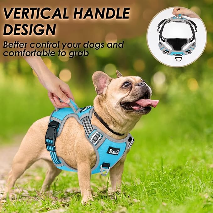 Lukovee No Pull Dog Harness, No Choke Adjustable Dog Harness with 2 Leash Clips and Easy Control Vertical Handle, Soft Padded Dog Vest for Medium and Large Dogs (Medium, Blue)