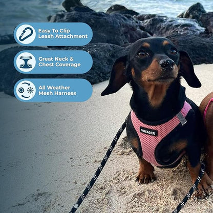 Voyager Step-in Air Dog Harness - All Weather Mesh, Reflective, No Pull Harness for Small, Medium Dogs, Cats - Secure with Hook & Loop Fastener, Buckle, Double D-Rings - Pink/Black Trim, M