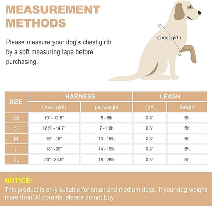 haapaw Dog Harness with Leash Set, No Pull Adjustable Reflective Step-in Puppy Harness with Thickened Padded Vest for Extra-Small/Small Medium Dogs