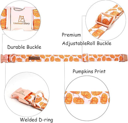 Lionheart glory Halloween Dog Collars Pumpkin Dog Collar Heavy Duty Adjustable Fall Dog Collar for Small Collar Dog Female or Male Dog Collar