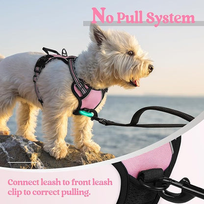 rabbitgoo Dog Harness, No-Pull Pet Harness with 2 Leash Clips, Adjustable Soft Padded Dog Vest, Reflective No-Choke Pet Oxford Vest with Easy Control Handle for Small Dogs, Pink, XS