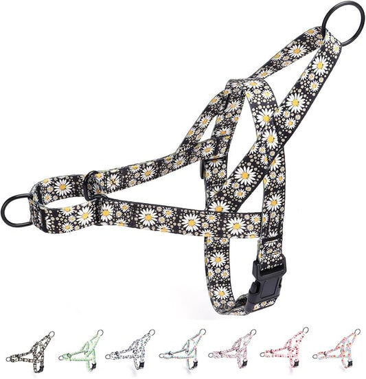 No Pull Dog Harness for Small, Medium, and Large Pets - Floral Pattern Nylon Safety Training Dog Harness (XS, Daisy)
