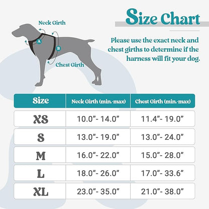 rabbitgoo Dog Harness, No-Pull Pet Harness with 2 Leash Clips, Adjustable Soft Padded Dog Vest, Reflective No-Choke Pet Oxford Vest with Easy Control Handle for Large Dogs, Teal, L