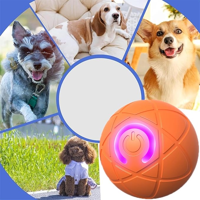 2PCS Shaky Ball Toy for Dogs,Pet Bounce Ball ,Vibrating Dog Ball for Dogs, Automatic Moving Dog Toy Ball,Bouncing Ball for Dogs Interactive Dog Ball,Automatic Moving Dog Toy Ball shaking(Blue+Blue)