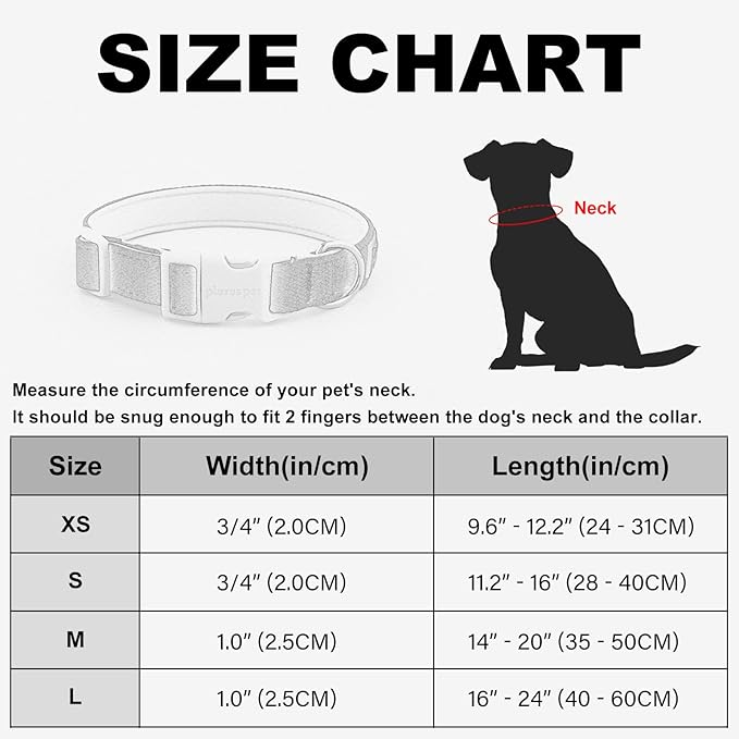 Plutus Pet Cotton Dog Collar, Heavy Duty Collar with Soft Padding, Adjustable and Comfortable for Small Medium and Large Dogs, Royal Blue, XS